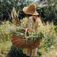 Moments magiques - Calendrier de lavent des semences bio - Le monde merveilleux des plantes aromatiques