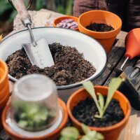Temps magique - Calendrier de lAvent des semences bio - Bonheur du jardinage urbain