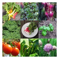 Légumes pour la plate-bande -pour les débutants (bio) - Coffret de semences