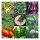 Légumes pour la plate-bande -pour les débutants (bio) - Coffret de semences