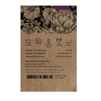 Mélange de carottes  (Daucus carota) graines