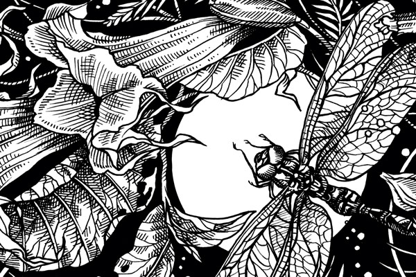Earth Night : quand le jardin s’obscurcit  Blogpost Illustration