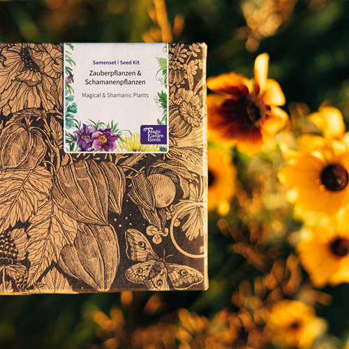 Plantes magiques et chamaniques Produktbild