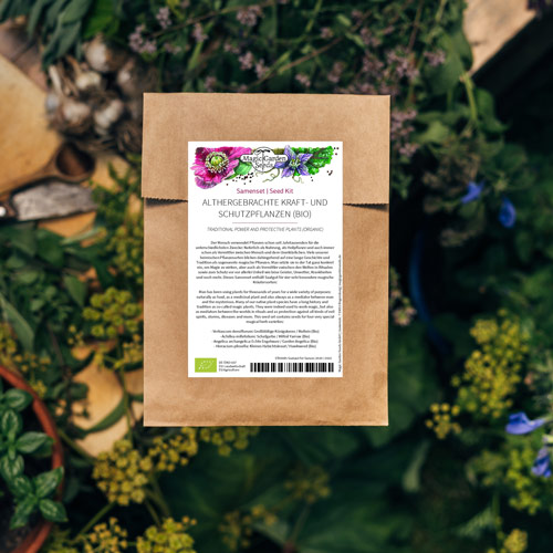 Plantes ancestrales énergétiques et protectrices (bio) Produktbild